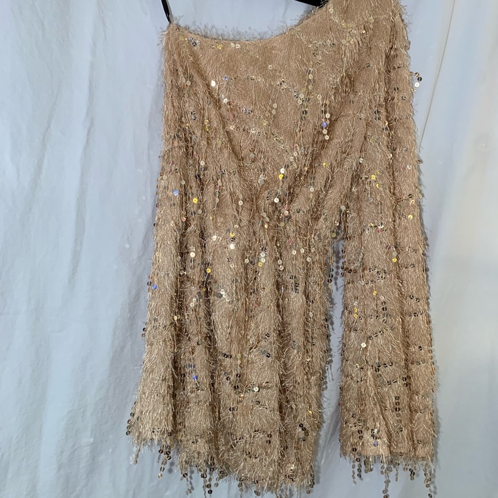 Gold Fringe Sequin Dress